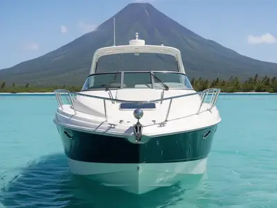 2009 Chaparral 290 Signature