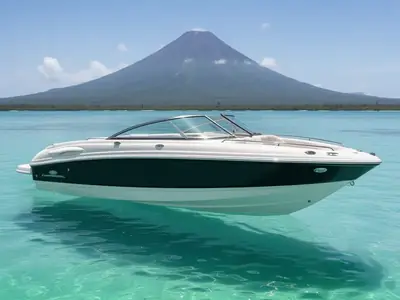 2006 Chaparral 220 SSI