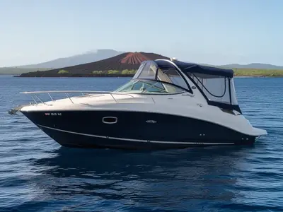 2009 Sea Ray Sundancer 270