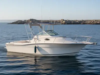 Sailfish 236 WAC