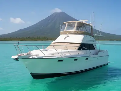 Hylas Motor 41