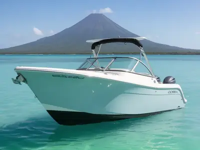 2021 Cobia 220 Dual Console