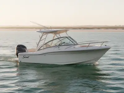 Scout 245 DORADO