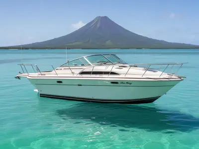 1985 Sea Ray 270 SUNDANCER
