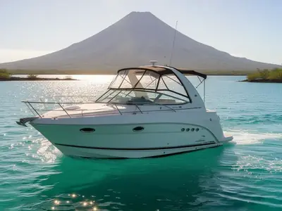 2006 Chaparral Signature 350