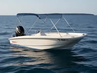 2009 Boston Whaler 13 LTD
