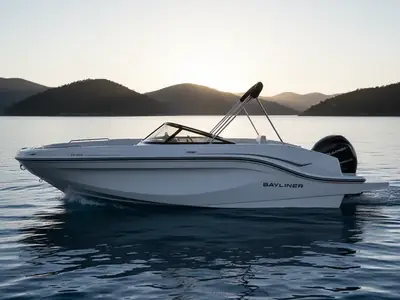 2024 Bayliner DX 2000