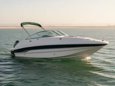 2001 Chaparral SUNESTA 233