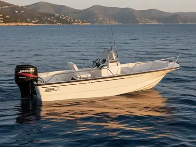 2004 Boston Whaler MONTAUK 170