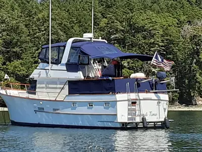 Ocean Alexander 43