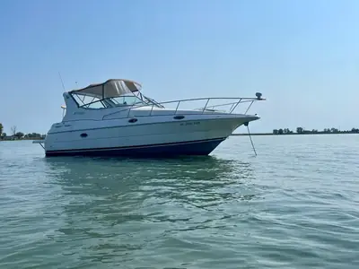 Cruisers 3075 EXPRESS