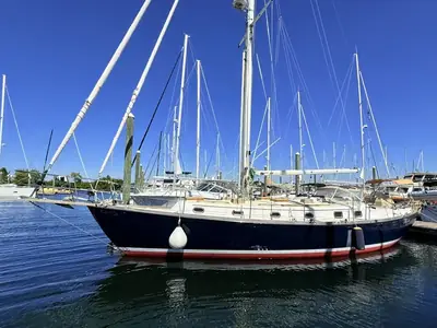 Shannon 43