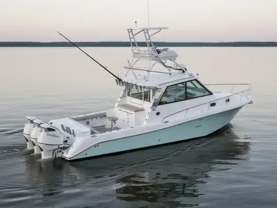 Everglades 350 EX