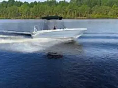 Stingray 172DC