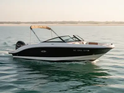 2018 Sea Ray SPX 210 Outboard