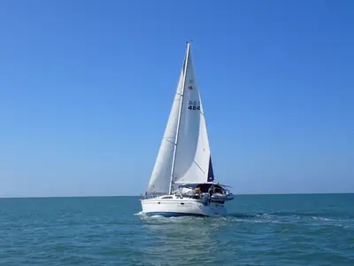 Catalina 350