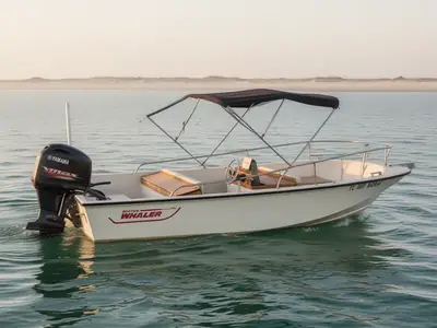 1985 Boston Whaler SUPER CAT 17