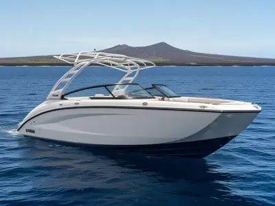 2023 Yamaha 252SE