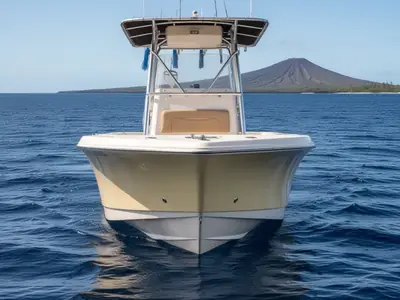 2004 Edgewater Power 245CC