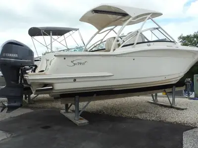 2017 Scout 255 Dorado