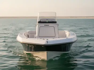 2018 Yamaha 190 FSH Deluxe