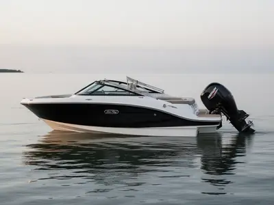 Sea Ray SPX 190 Outboard
