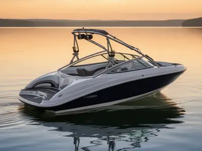 2009 Yamaha 212X