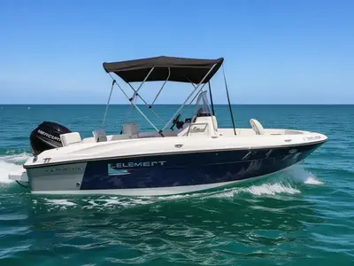 2019 Bayliner Element F18