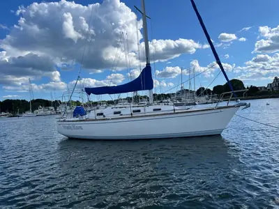 Tartan 31