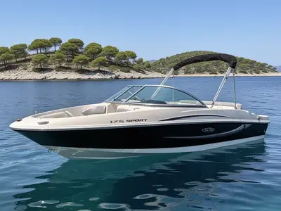 2009 Sea Ray 175 SPORT