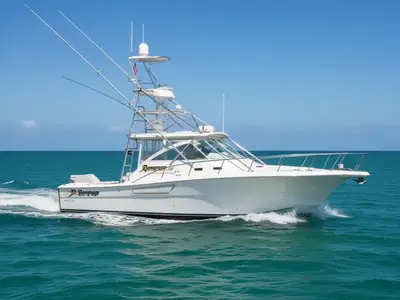 2001 Rampage 38 Express