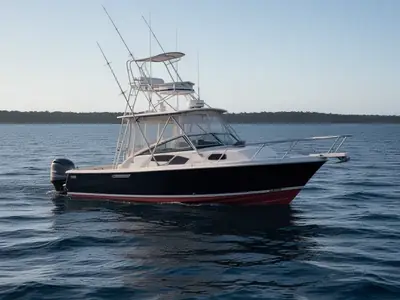 1994 Blackfin COMBI 29