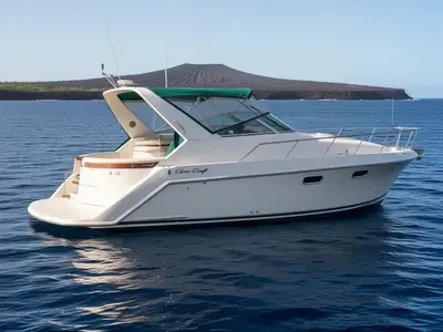 1994 Chris-Craft COMANCHE