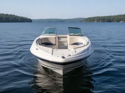 2001 Chaparral SUNESTA 233