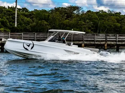 Sterk 31