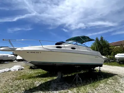 1995 Sea Ray Sundancer 250