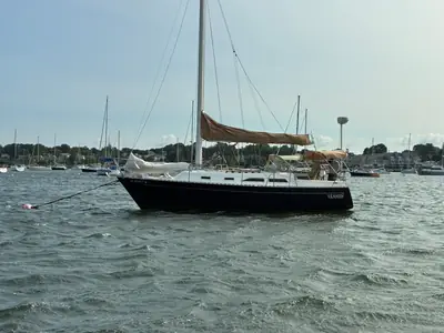 Freedom 30
