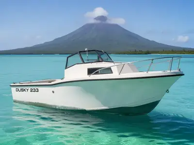 1984 Dusky 233