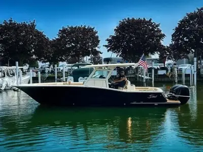 2017 Scout Scout 320 LXF