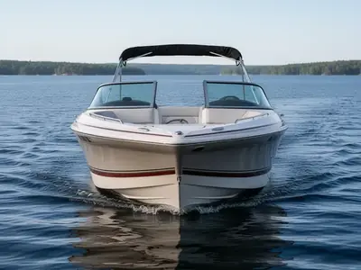 2010 Four Winns H220