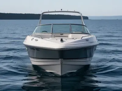2004 Chaparral 220 SSI