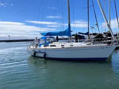 Cal 33