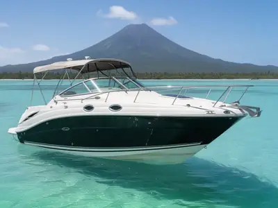 2006 Sea Ray 270 AMBERJACK