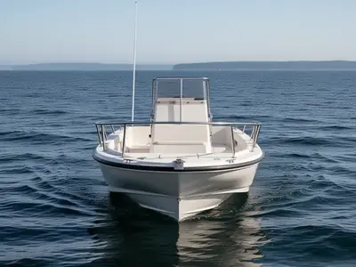 1997 Boston Whaler 20