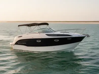 2009 Bayliner Corp 245