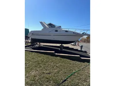 Donzi 255 LXC