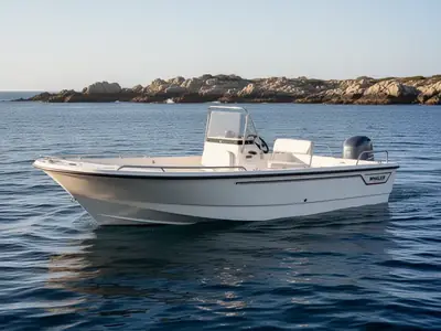 2014 Boston Whaler SUPER CAT 17