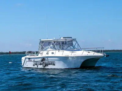 Pro Cat 3660