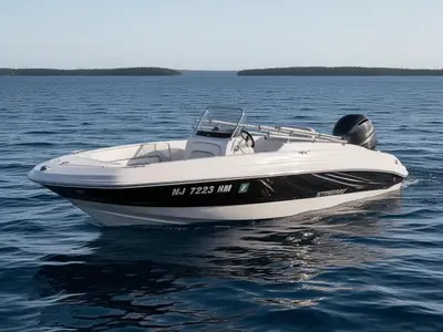 2018 Stingray 191 Dc