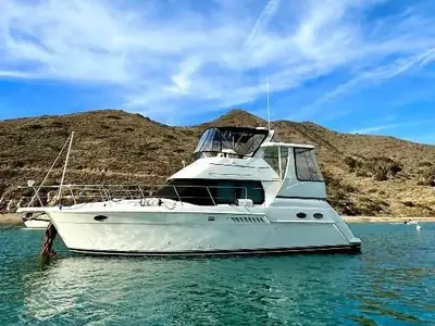 1999 Carver 356 AFT CABIN
